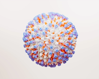 RSV virus