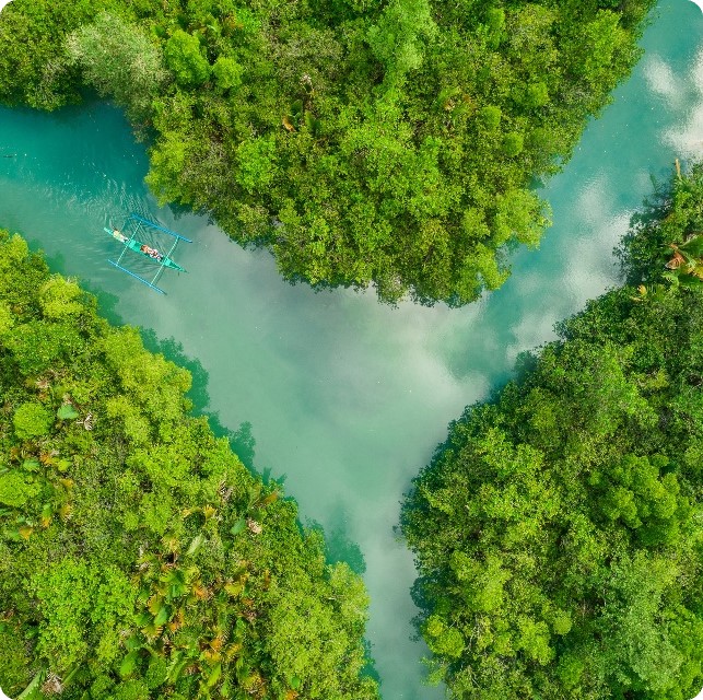 People on a raft navigating on the water in the forest
