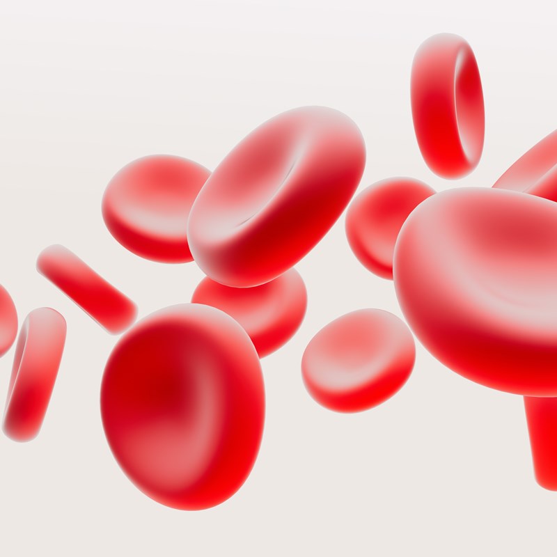Bloodcells Anaemia illustration