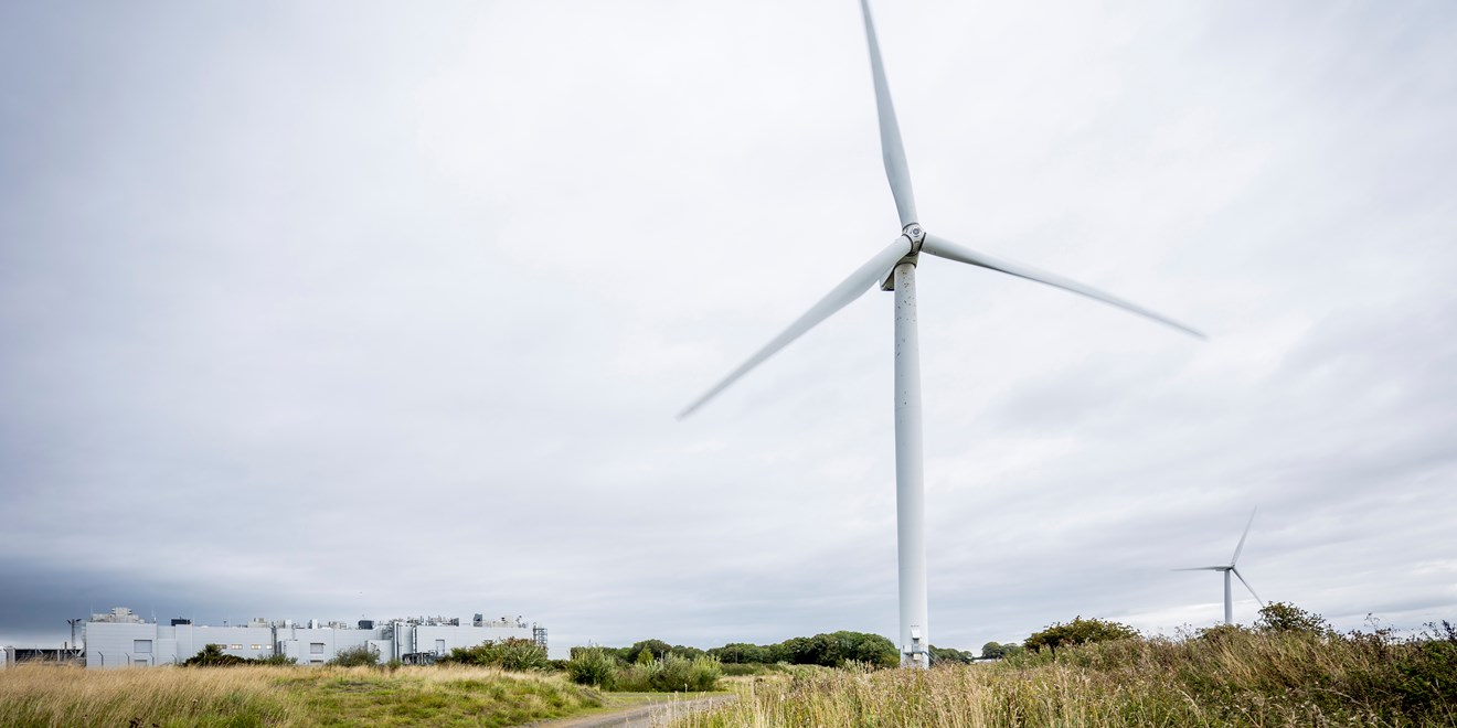 Wind turbines in a field