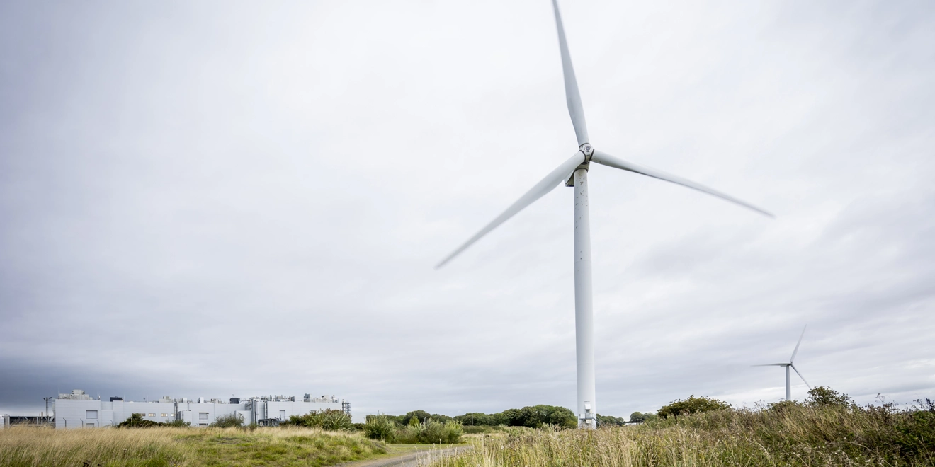 Wind turbines in a field