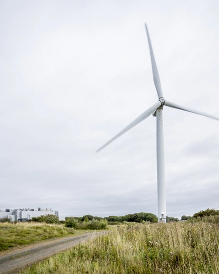 Wind turbines in a field